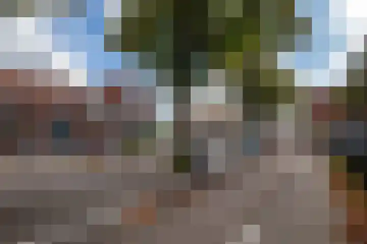 Van der Mondestraat 91 Utrecht thumbnail 37