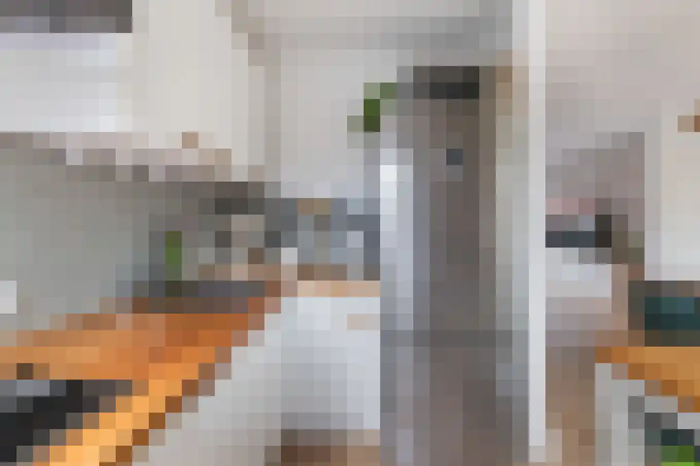 Van der Mondestraat 95 BS Utrecht thumbnail 22