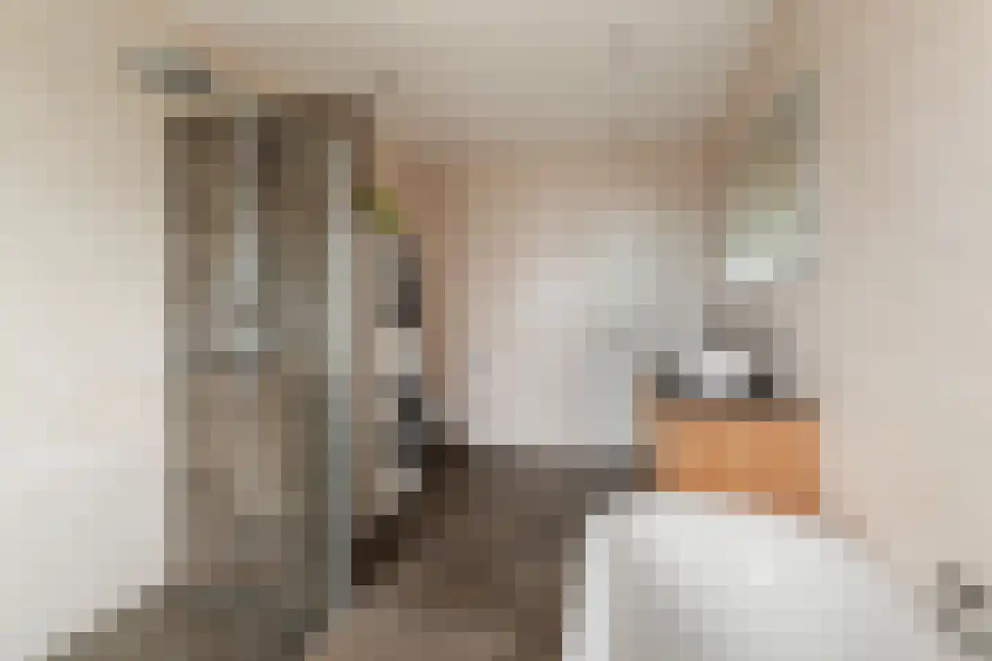 Van der Mondestraat 95 BS Utrecht thumbnail 38