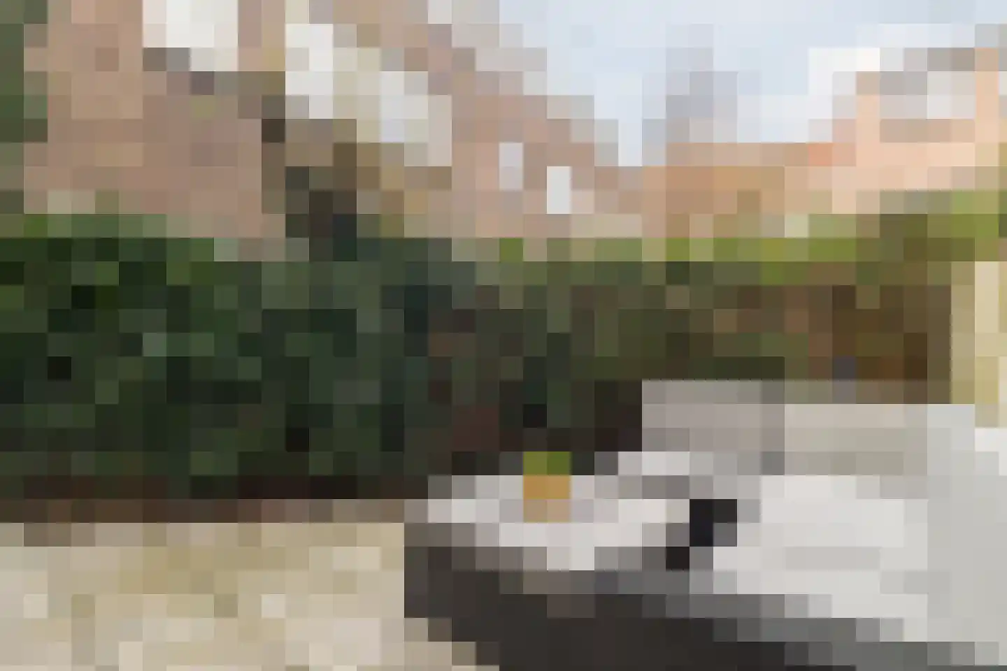 Van der Mondestraat 98 Utrecht thumbnail 17