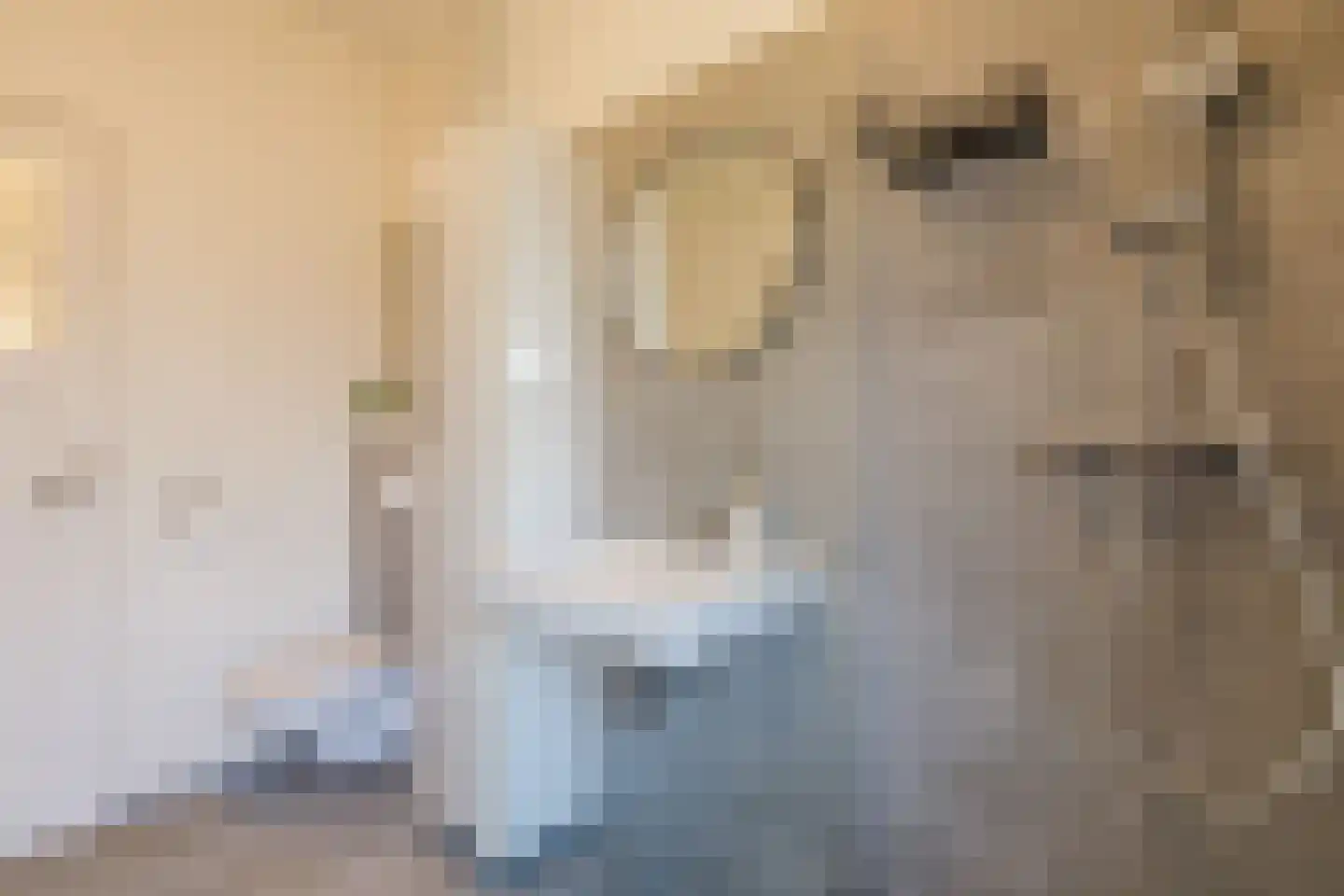 Van der Mondestraat 98 Utrecht thumbnail 35