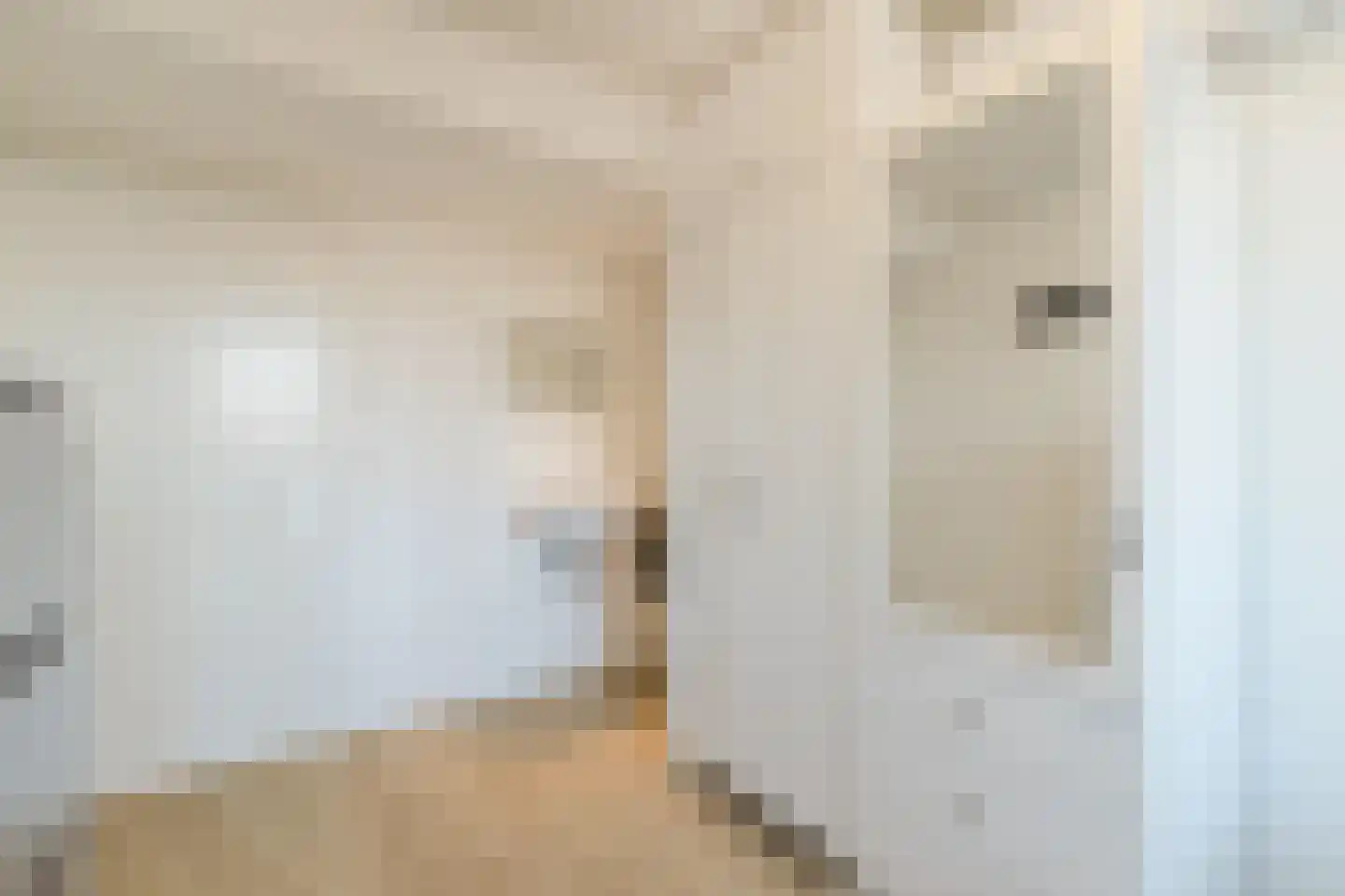 Van der Mondestraat 98 Utrecht thumbnail 53