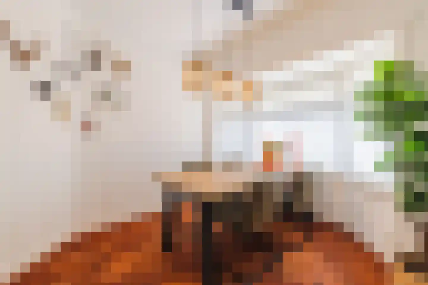 Van der Mondestraat 98 Utrecht thumbnail 7