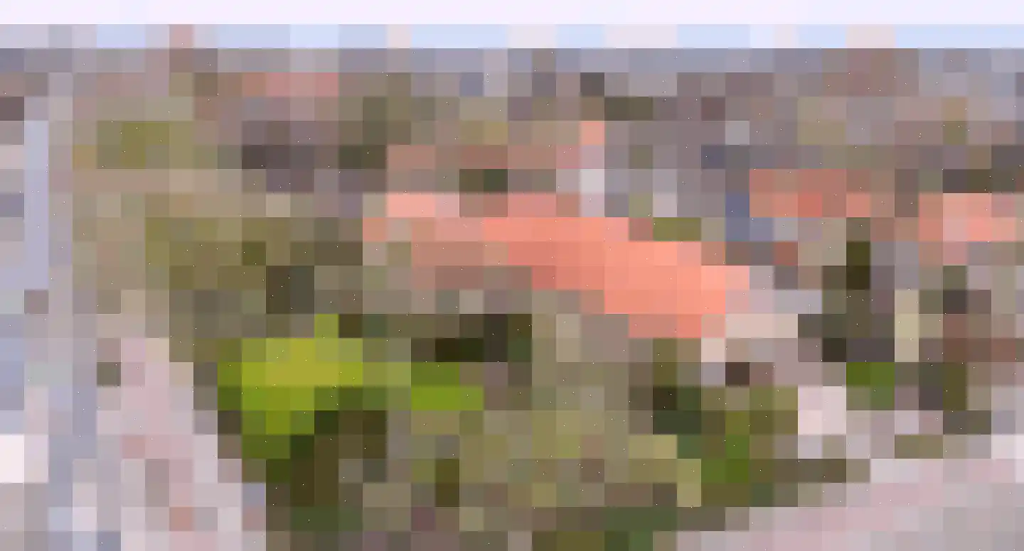 van der Mondeweg 18 a Haalderen thumbnail 27