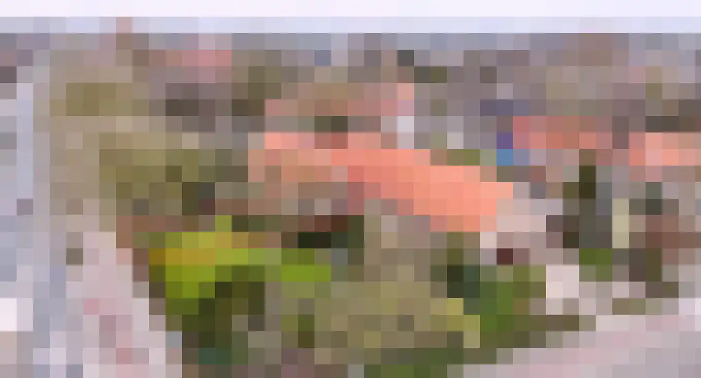 van der Mondeweg 18 a Haalderen thumbnail 36