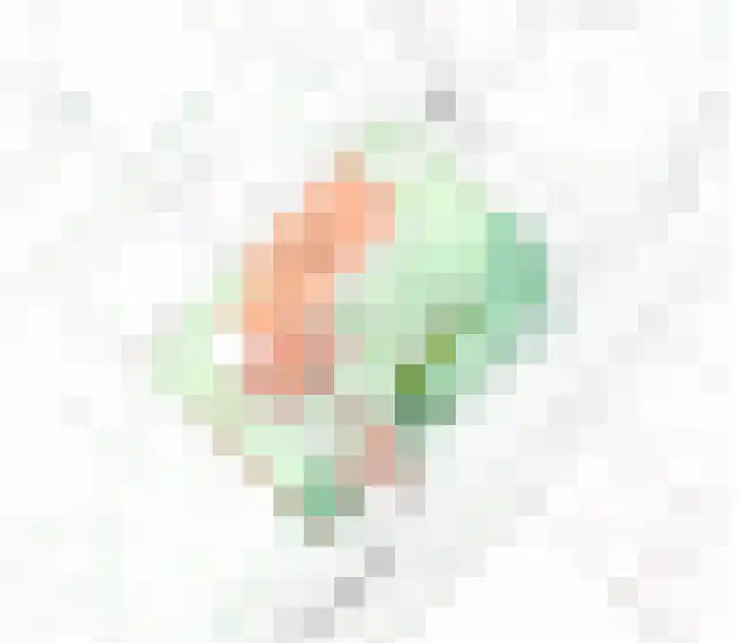 van der Mondeweg 18 b Haalderen thumbnail 35