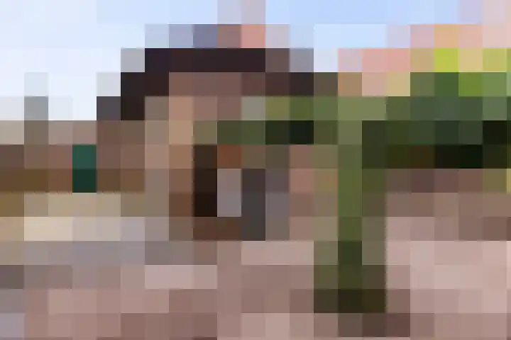 van der Mondeweg 18 Haalderen thumbnail 15