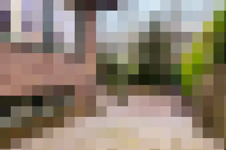 van der Mondeweg 18 Haalderen thumbnail 17