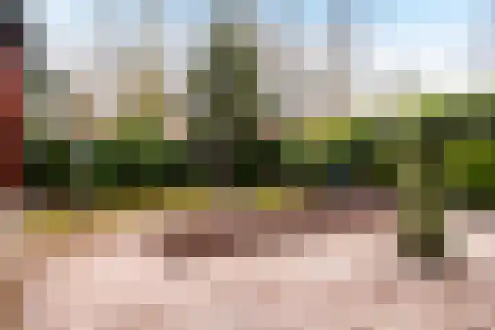 van der Mondeweg 18 Haalderen thumbnail 19