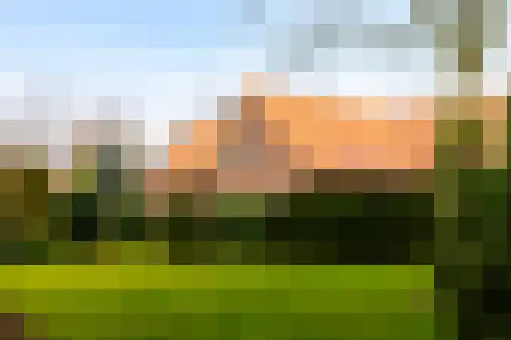 van der Mondeweg 18 Haalderen thumbnail 4