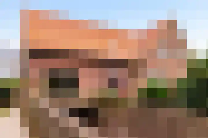 van der Mondeweg 18 Haalderen thumbnail 7