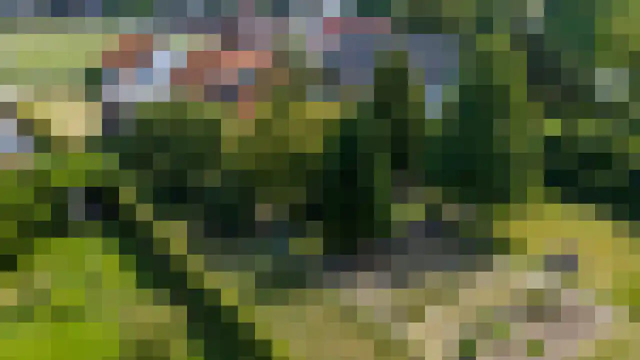 van der Mondeweg 77 Haalderen thumbnail 23