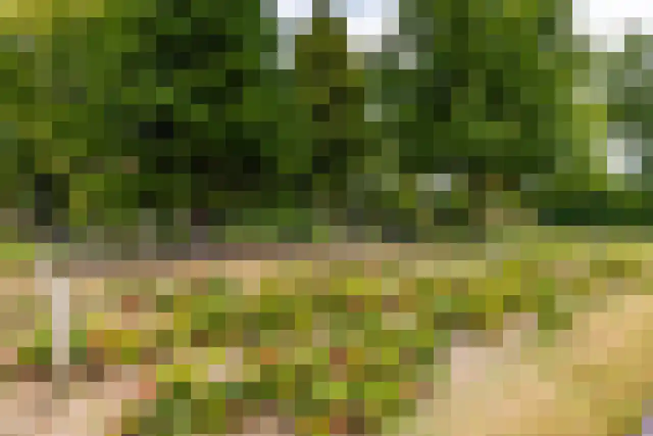 van der Mondeweg 77 Haalderen thumbnail 24