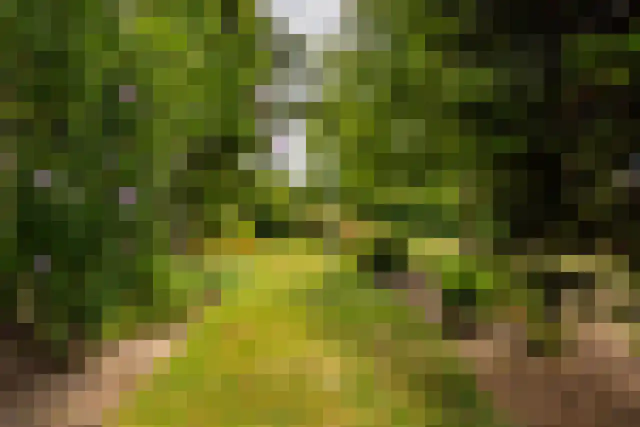 van der Mondeweg 77 Haalderen thumbnail 26