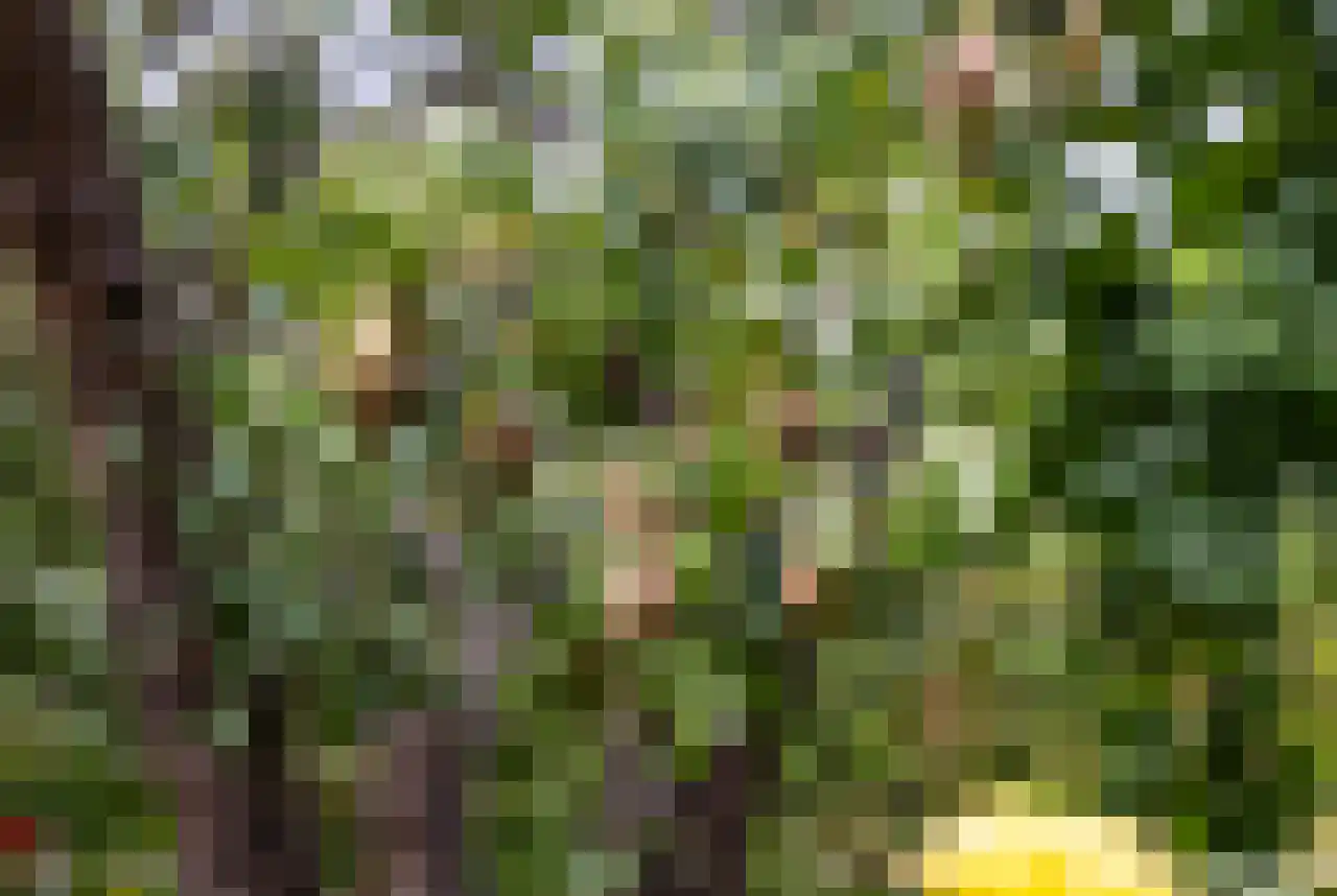 van der Mondeweg 77 Haalderen thumbnail 28