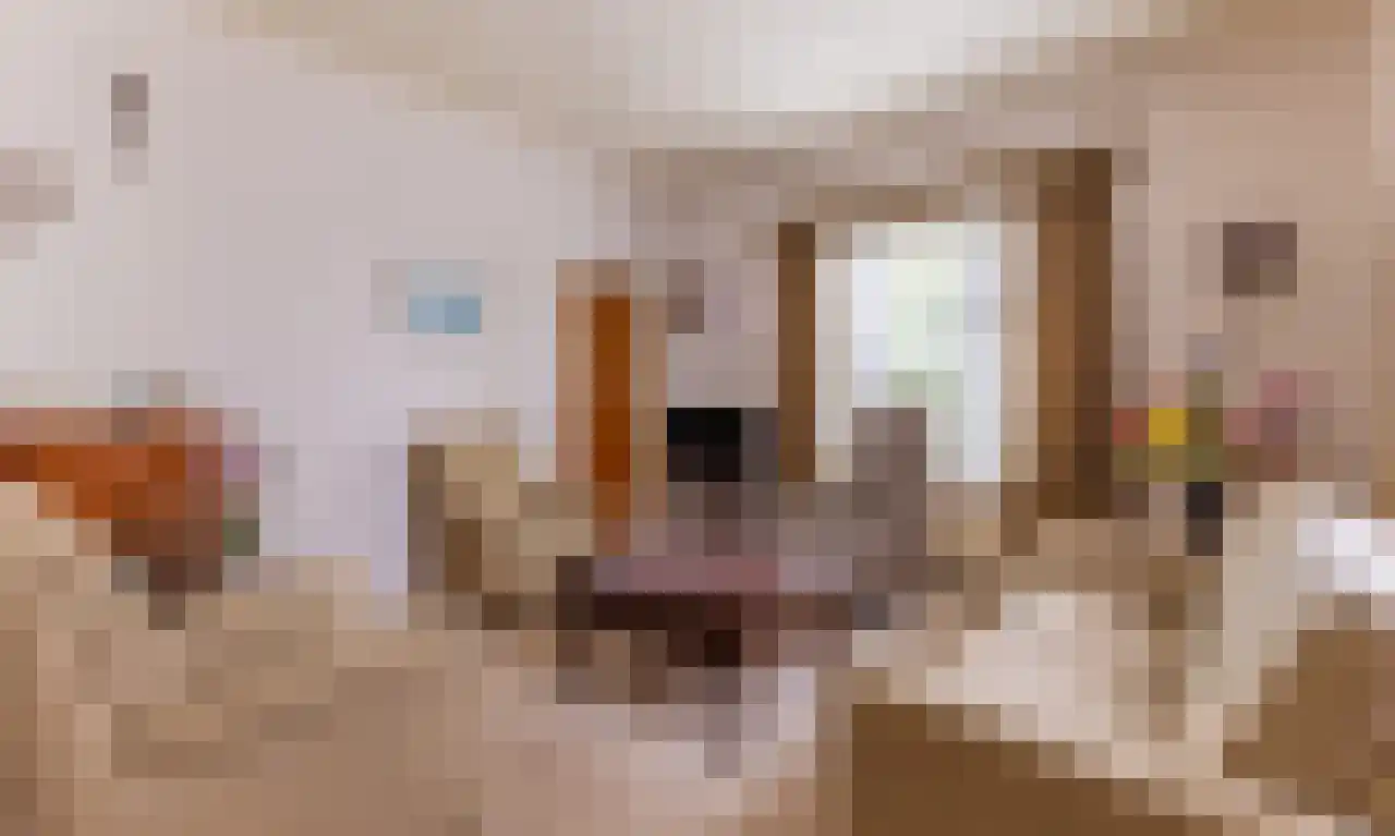 van der Mondeweg 77 Haalderen thumbnail 6