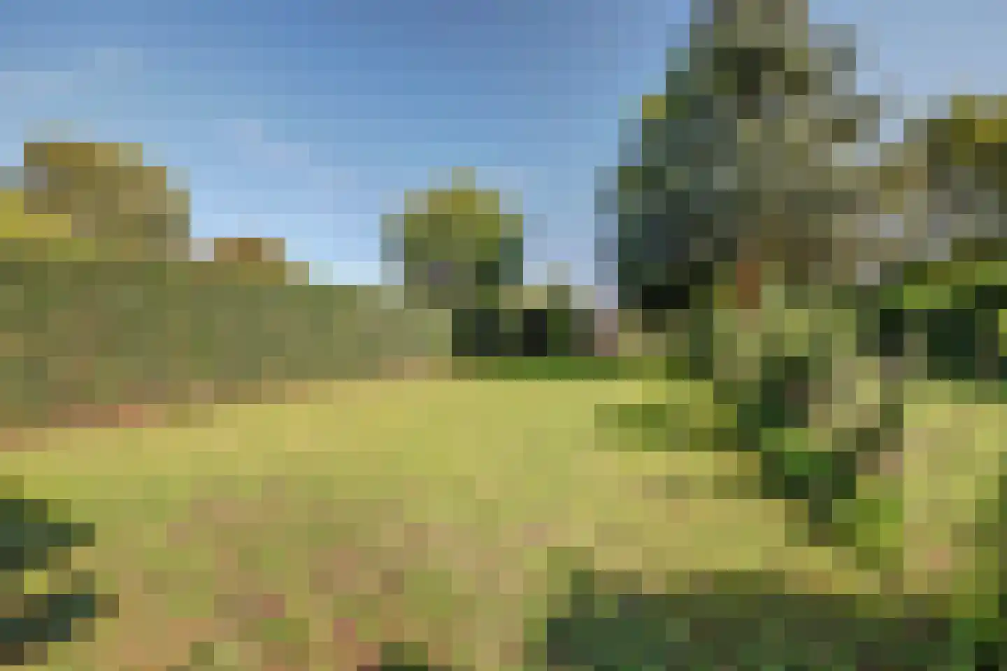van der Mondeweg 94 Haalderen thumbnail 31