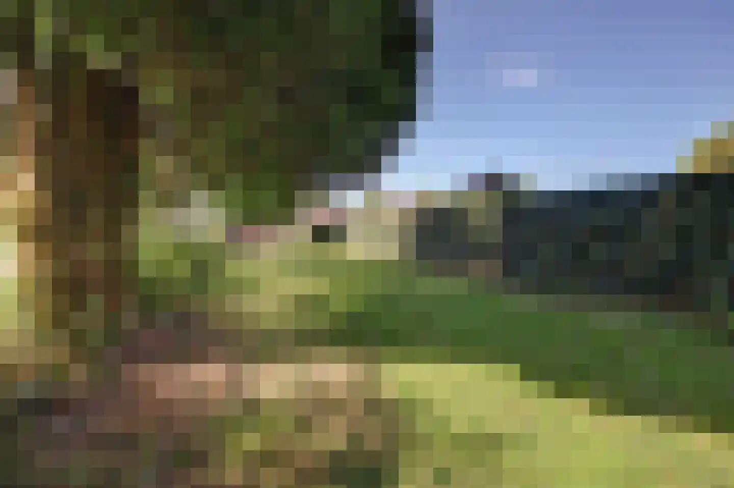 van der Mondeweg 94 Haalderen thumbnail 33