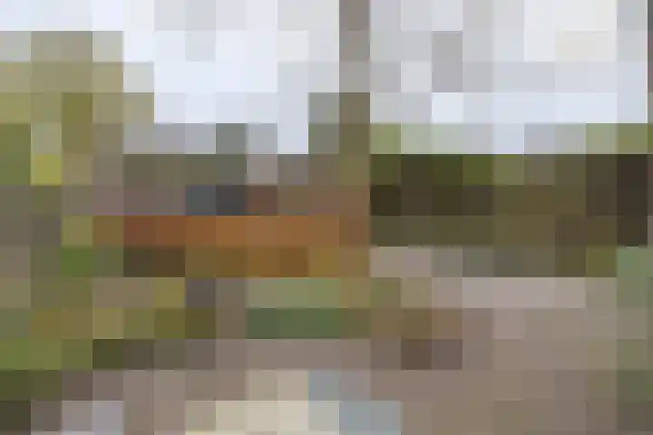 van der Muelenstraat 33 Driebergen-Rijsenburg thumbnail 36