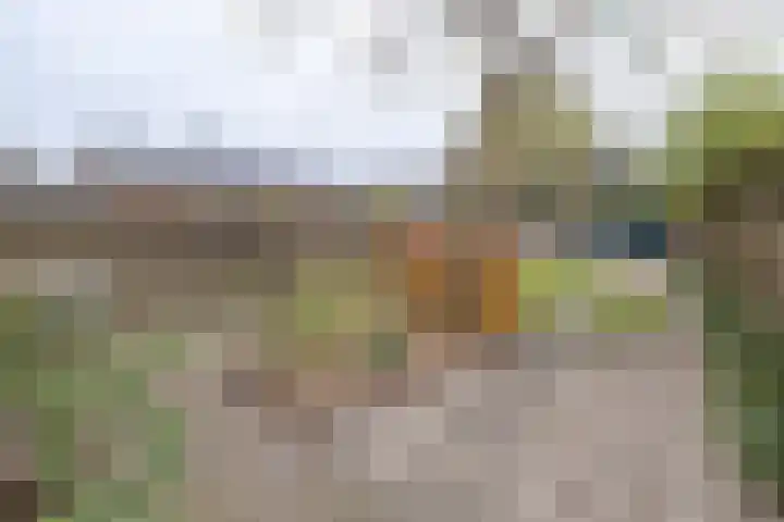 van der Muelenstraat 33 Driebergen-Rijsenburg thumbnail 37