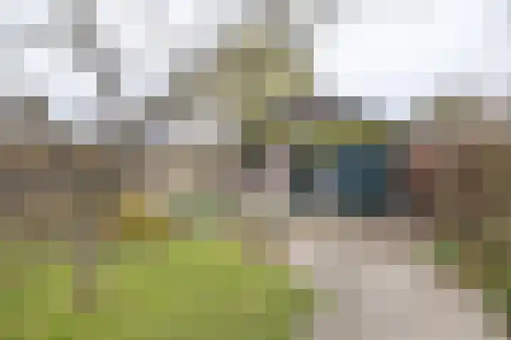 van der Muelenstraat 33 Driebergen-Rijsenburg thumbnail 41