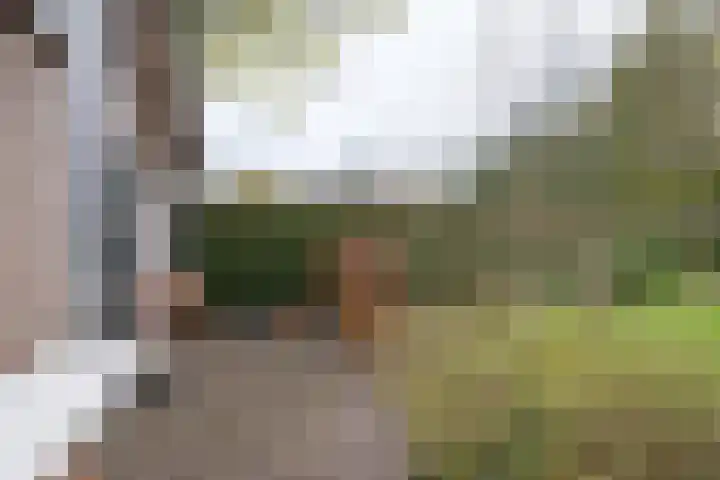 van der Muelenstraat 33 Driebergen-Rijsenburg thumbnail 48