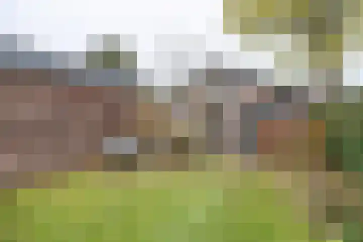 van der Muelenstraat 33 Driebergen-Rijsenburg thumbnail 49