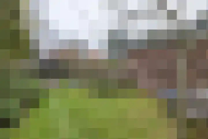 van der Muelenstraat 33 Driebergen-Rijsenburg thumbnail 50