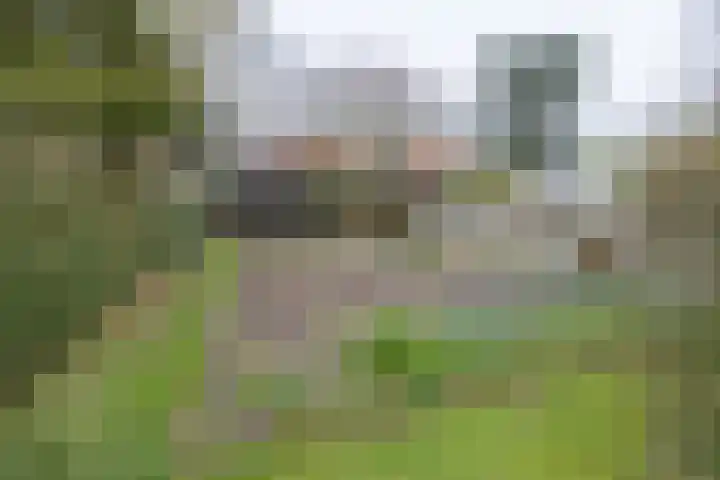 van der Muelenstraat 33 Driebergen-Rijsenburg thumbnail 51