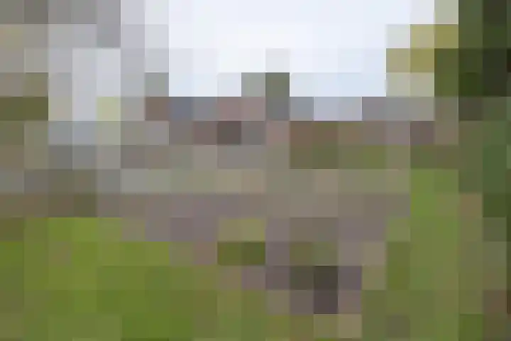 van der Muelenstraat 33 Driebergen-Rijsenburg thumbnail 52