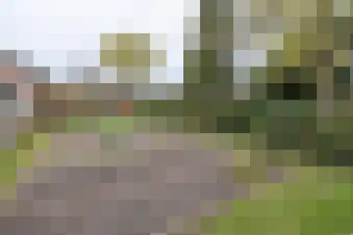 van der Muelenstraat 33 Driebergen-Rijsenburg thumbnail 55
