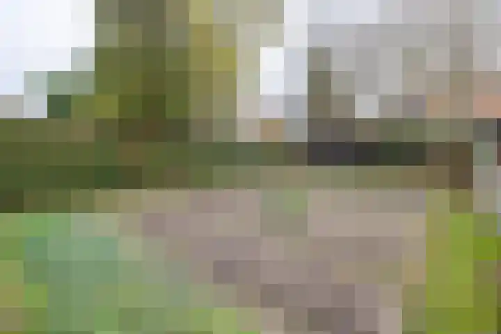 van der Muelenstraat 33 Driebergen-Rijsenburg thumbnail 56