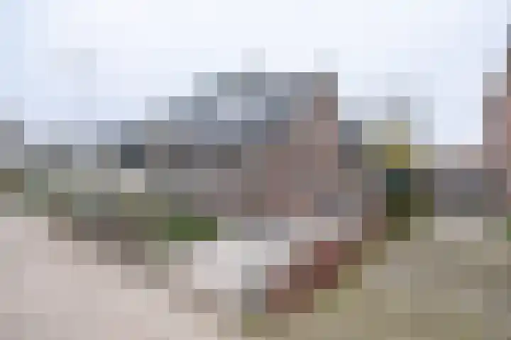 van der Muelenstraat 33 Driebergen-Rijsenburg thumbnail 60