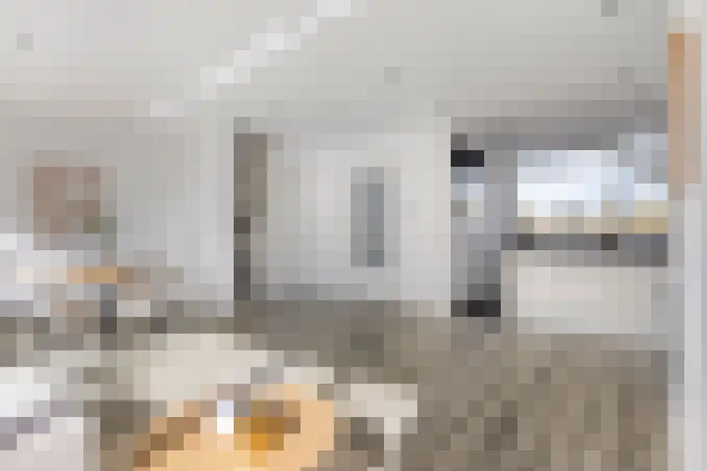 van der Muydenstraat 76 Eindhoven thumbnail 6