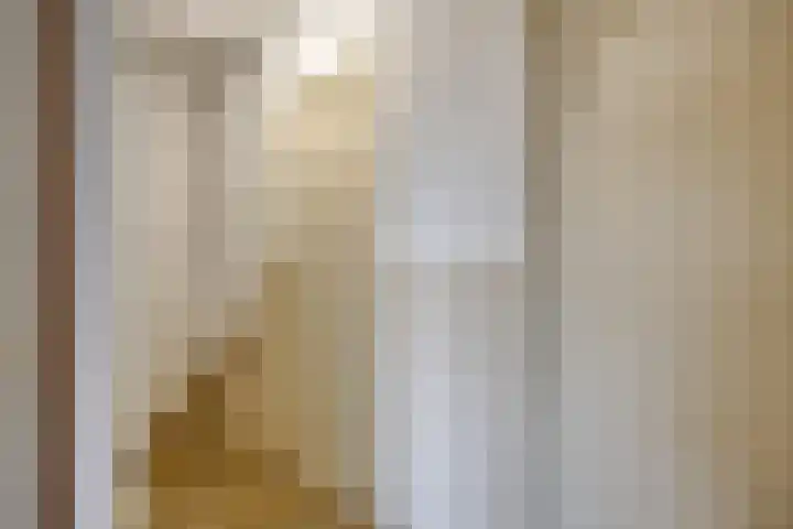 Van der Nootlaan 17 Roosendaal thumbnail 10