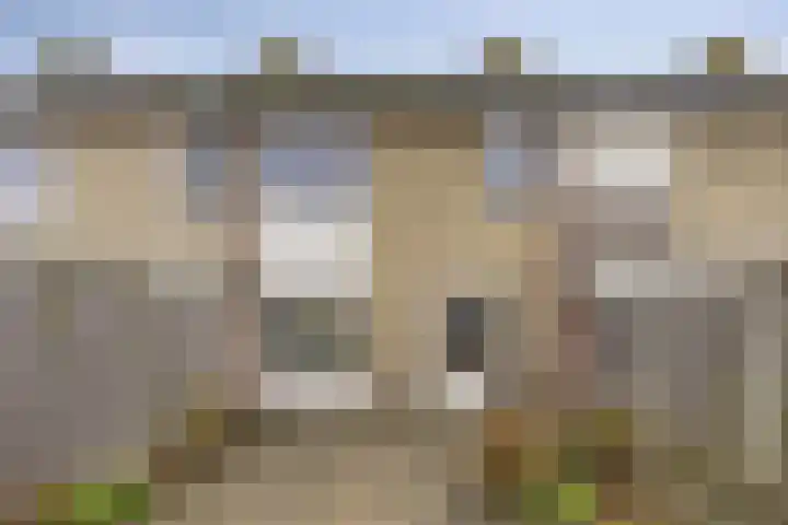 Van der Nootlaan 17 Roosendaal thumbnail 16