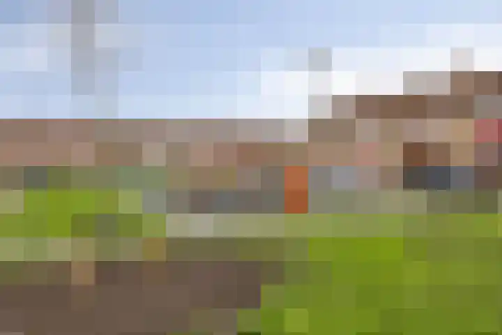 Van der Nootlaan 17 Roosendaal thumbnail 21