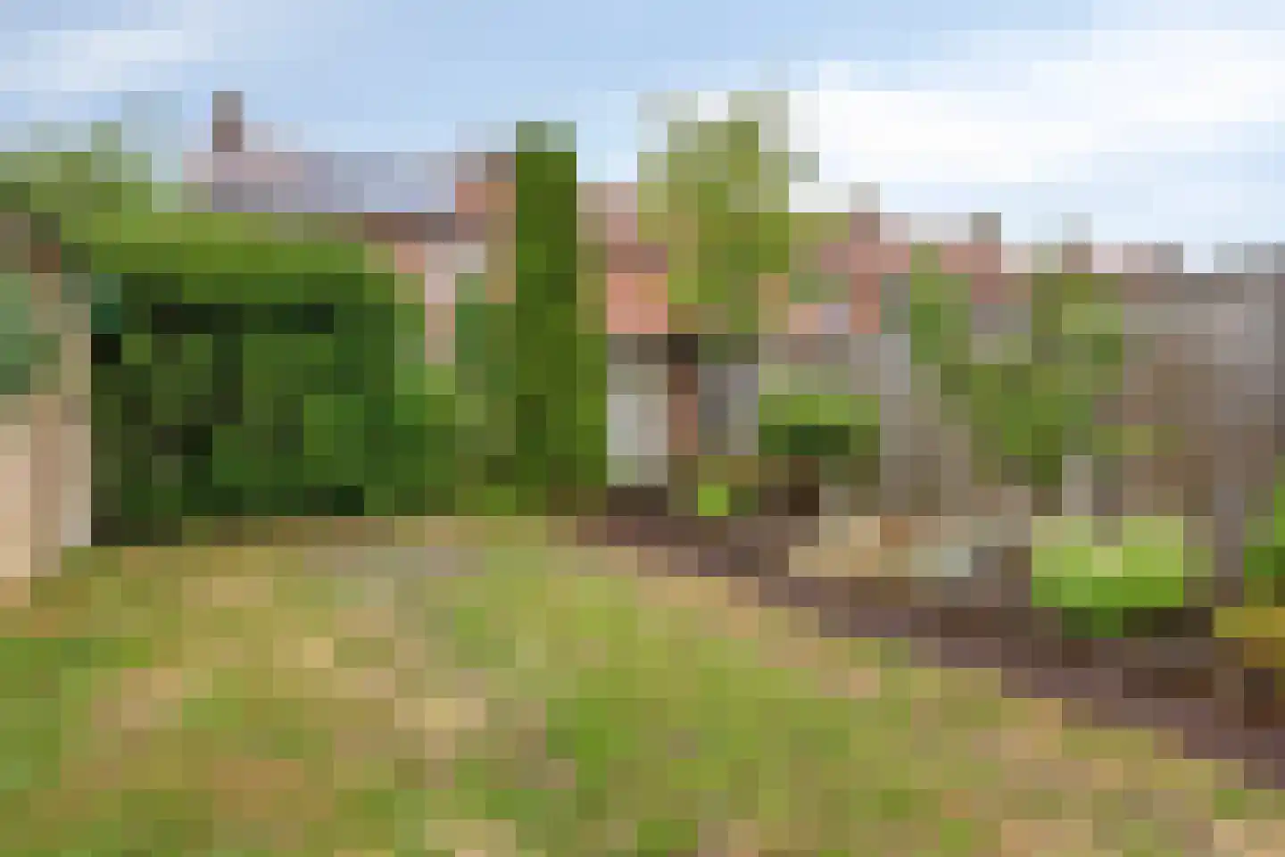 van der Nootstraat 16 Grave thumbnail 29