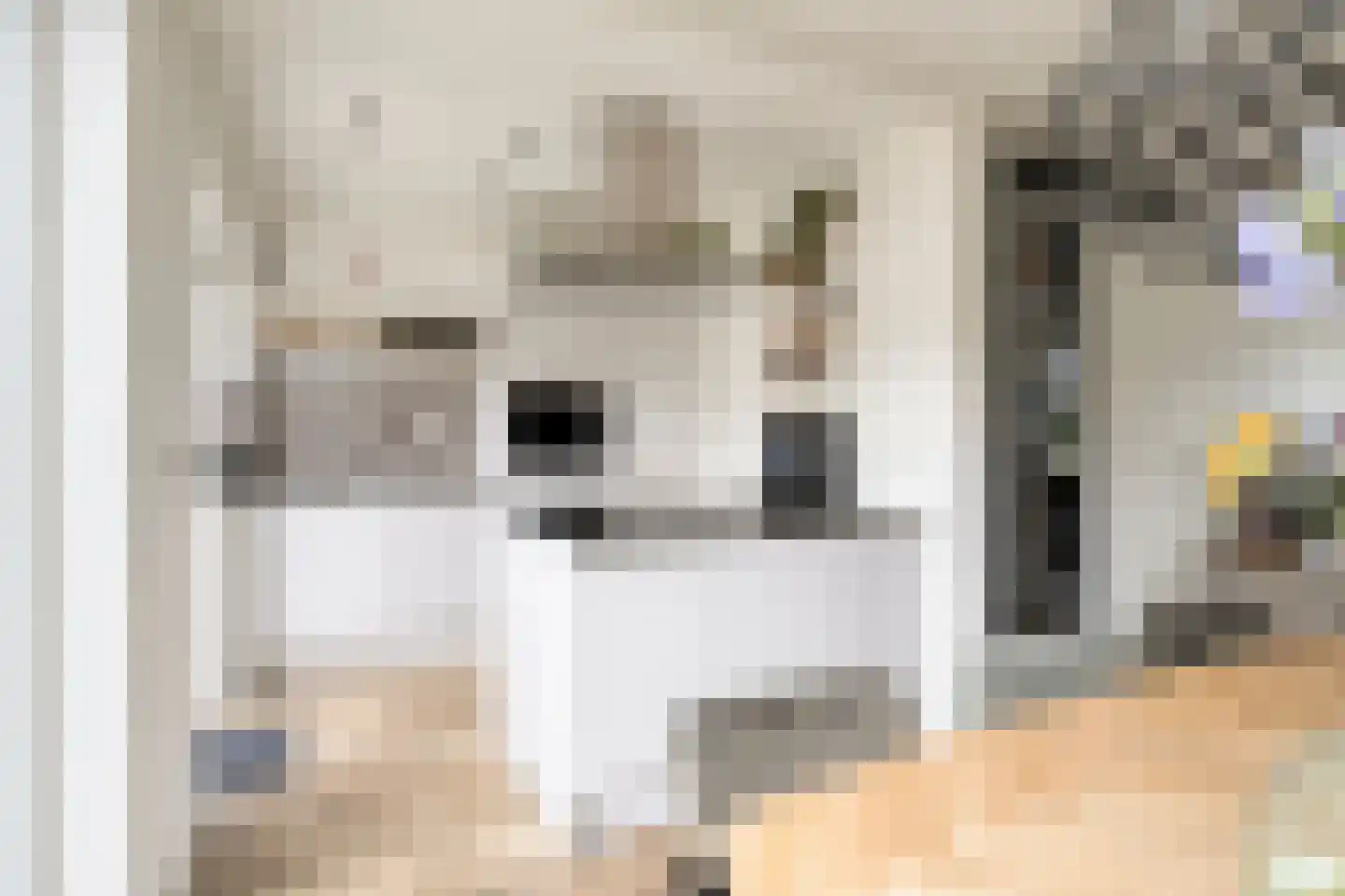 van der Nootstraat 25 's-Hertogenbosch thumbnail 11