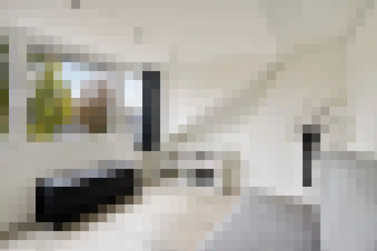 van der Nootstraat 25 's-Hertogenbosch thumbnail 28