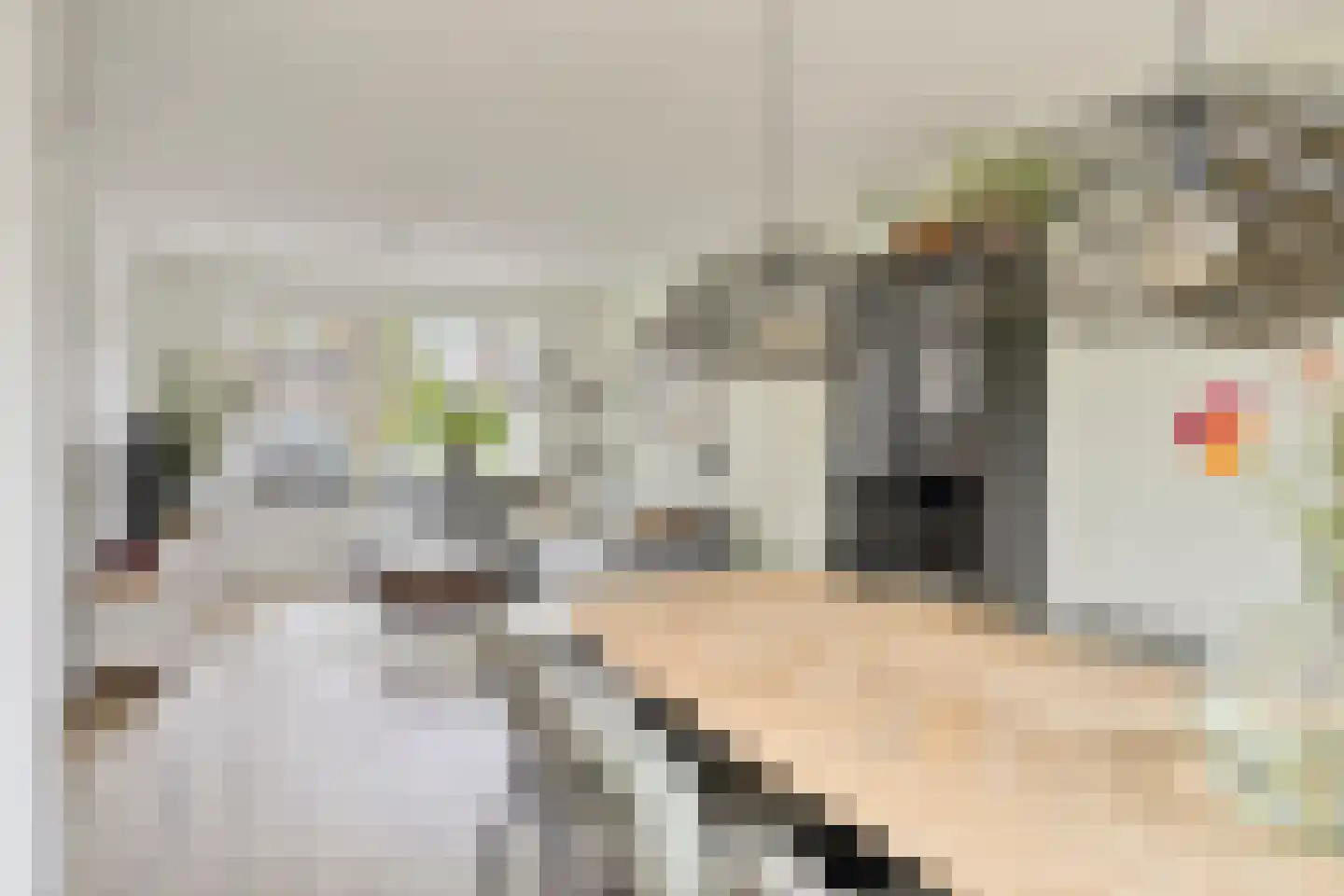 van der Nootstraat 25 's-Hertogenbosch thumbnail 6