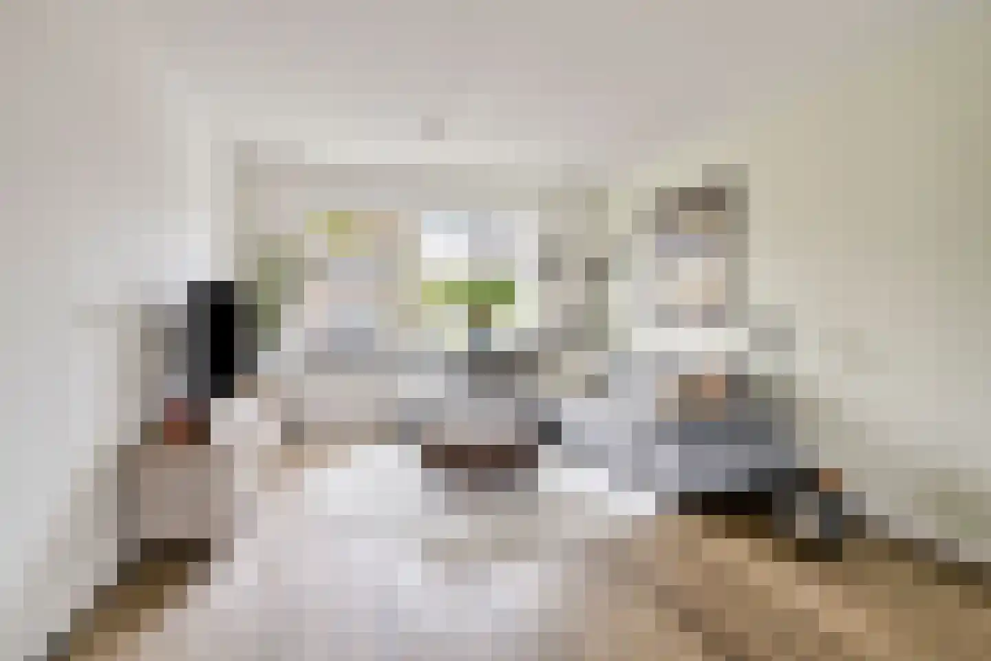 van der Nootstraat 25 's-Hertogenbosch thumbnail 7