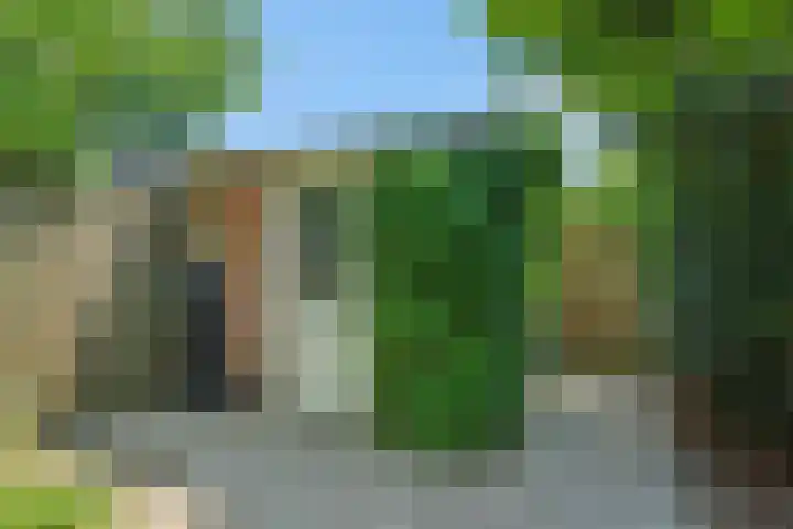 van der Nootstraat 31 's-Hertogenbosch thumbnail 21