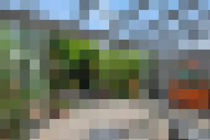 van der Nootstraat 31 's-Hertogenbosch thumbnail 22