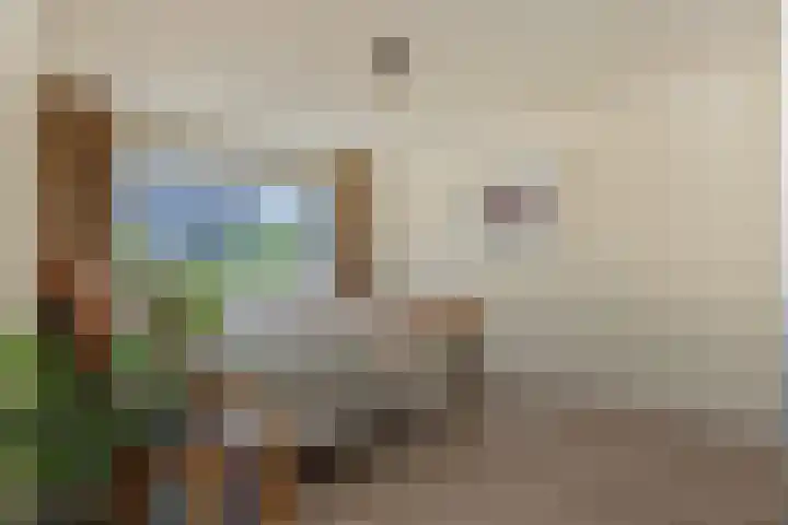 van der Nootstraat 31 's-Hertogenbosch thumbnail 24
