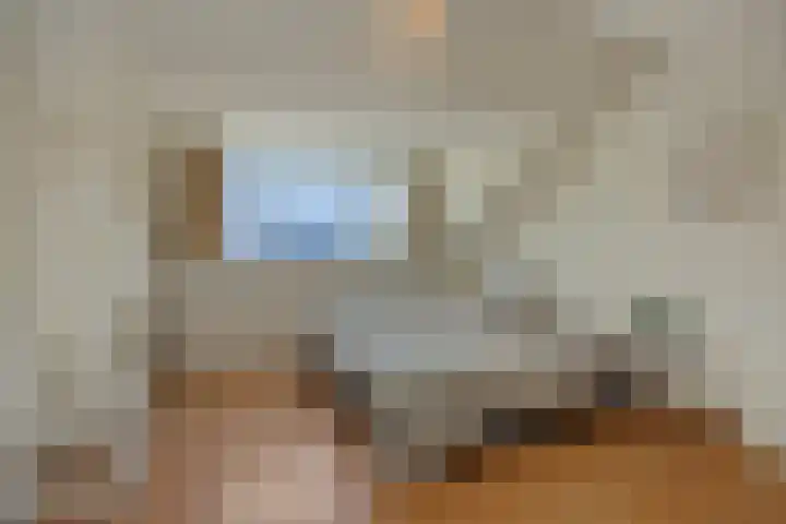 van der Nootstraat 31 's-Hertogenbosch thumbnail 33
