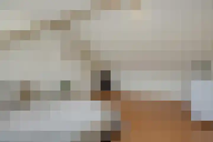 van der Nootstraat 31 's-Hertogenbosch thumbnail 34
