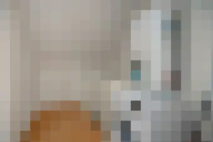 van der Nootstraat 31 's-Hertogenbosch thumbnail 35