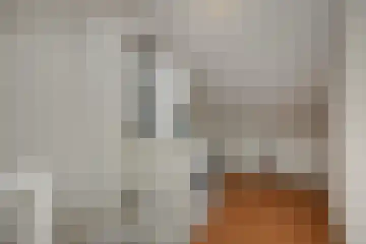 van der Nootstraat 31 's-Hertogenbosch thumbnail 36