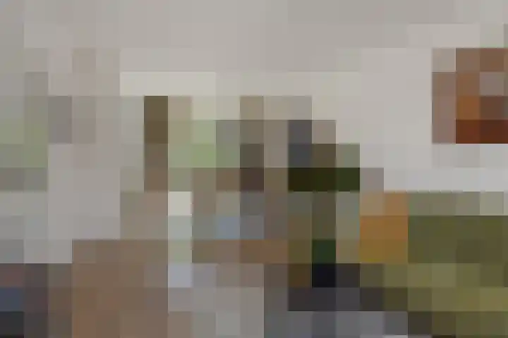 van der Nootstraat 31 's-Hertogenbosch thumbnail 9